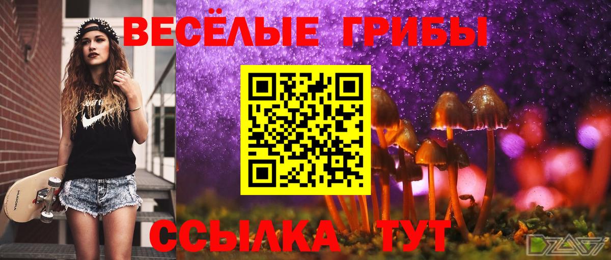 Майский  Псилоцибиновые грибы Cubensis  цена наркотик  Вход с VPN  Псилоцибиновые грибы GOLDEN TEACHER 